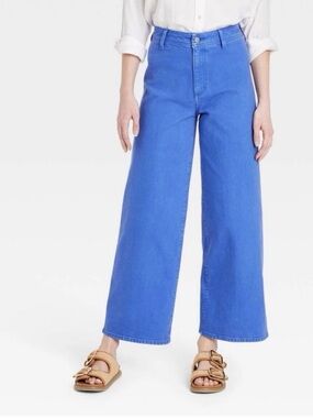 Universal Thread Vibrant Blue Trousers